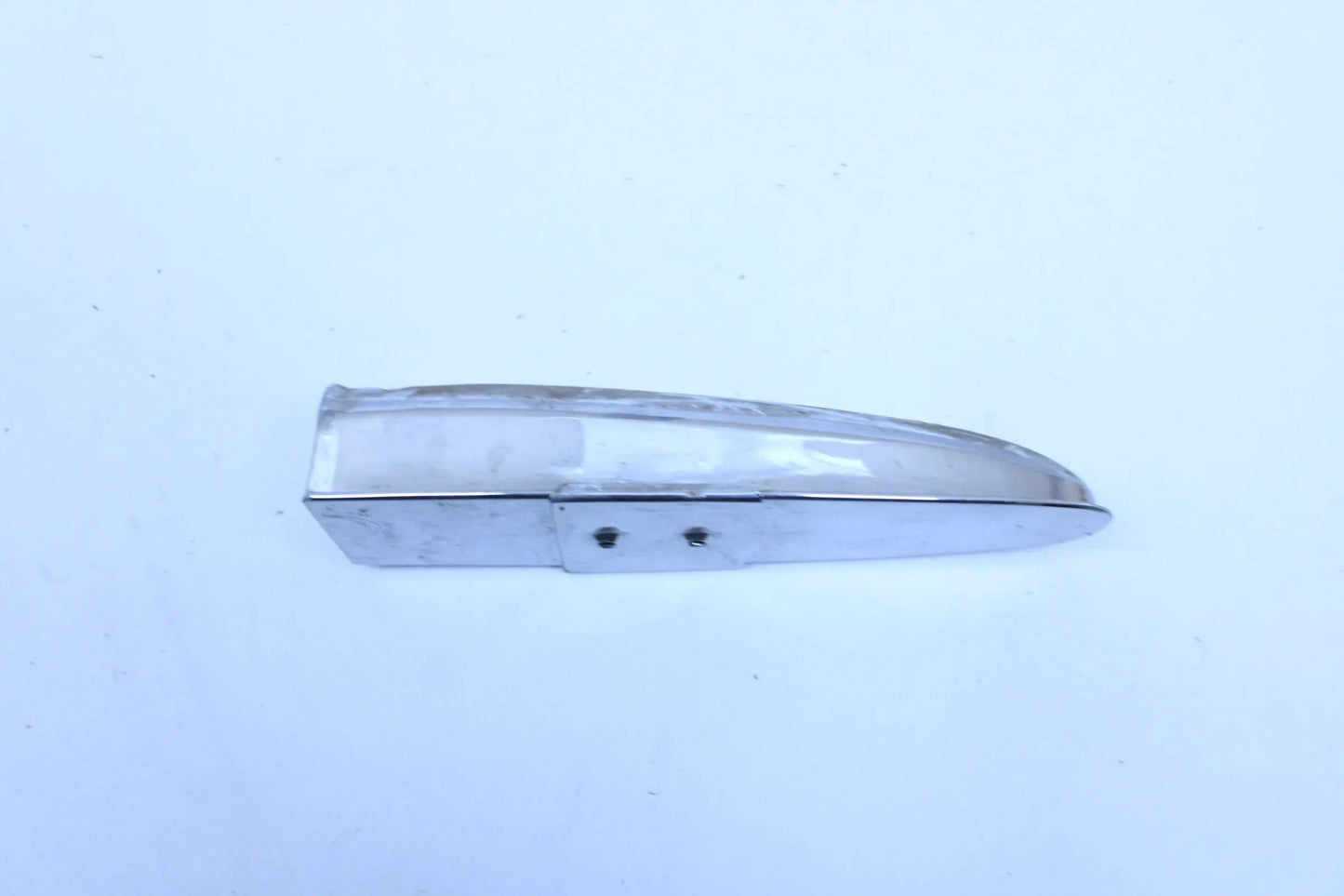 Mercedes Hagus Blinker